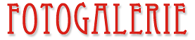 Fotogalerie